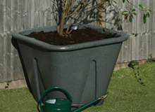 Winchester Self-Watering Tree Planter - Millstone