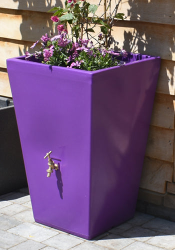 purple plant pots Cambridge Water Butt Planter