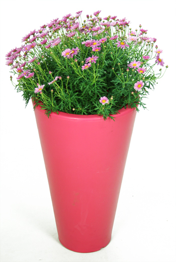 Ashwell garden planter - Pink