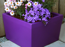 Meldreth Garden Planter - Purple