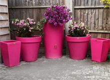 Pink Water Butt and Planter Set
