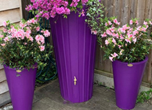 Purple Water Butt and Planter Set