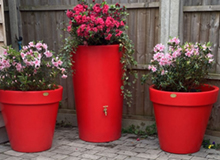 Red Water Butt and Planter Set
