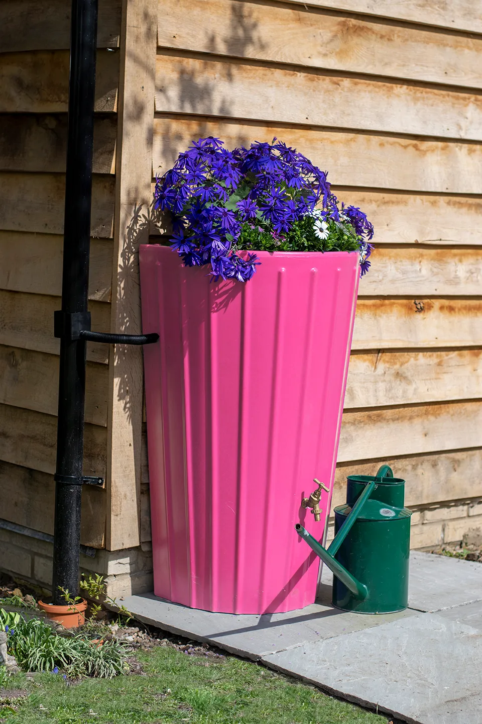 Double Banner Images