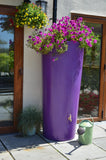 Big City Water Butt Planter - Purple