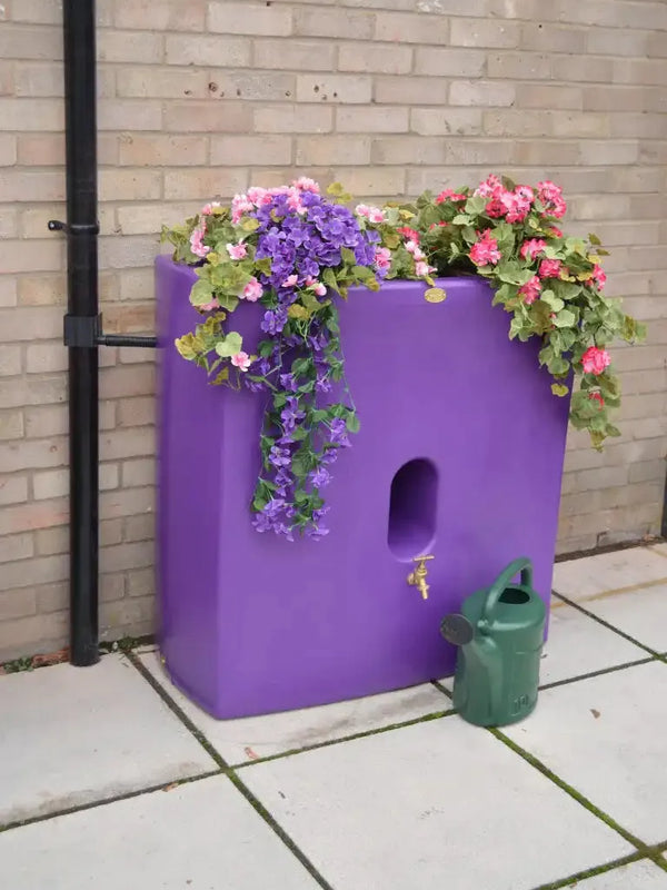 Oasis Water Butt Planter in Purple