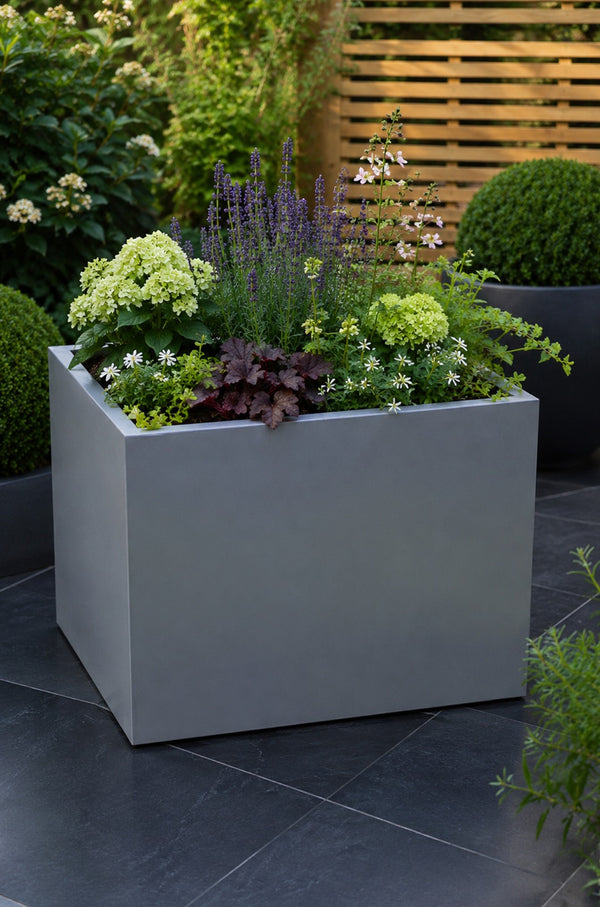 Galvanised rectangular planter with green plants on a dark stone patio