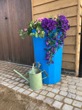 bright sky blue water butt planter on a stone patio, overflowing with purple and pink  flowers.