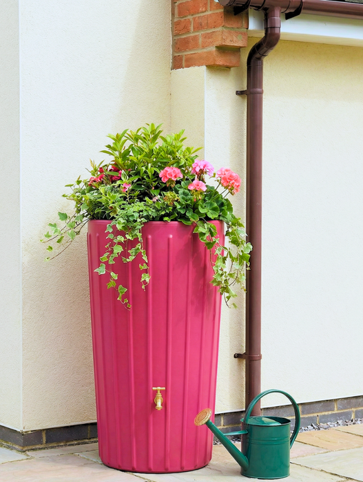 Pink water butt planter and a green watering can on a patio.