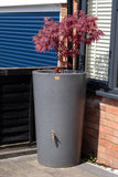 City Water Butt Planter - 180 Litre -  Millstone