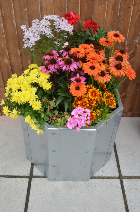The Royston - Raised Bed / Galvanised Planter