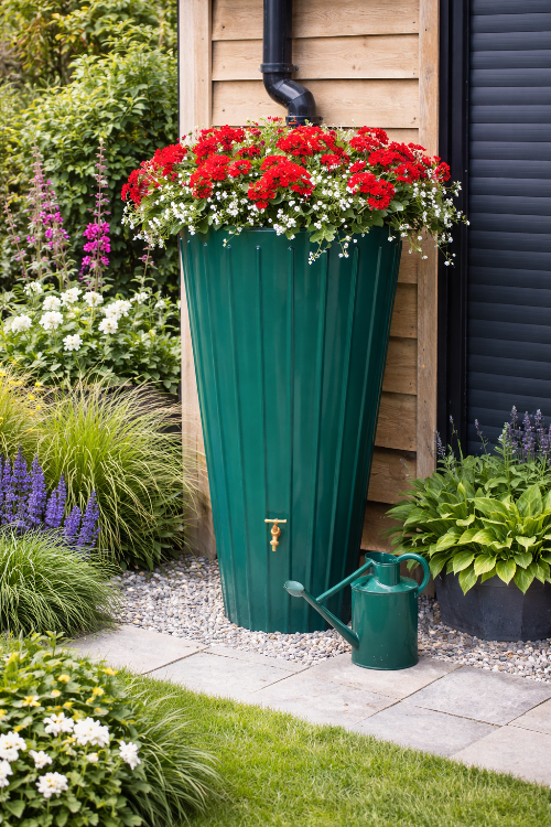 Green water butt planter with red flowers and a watering can in a garden setting.