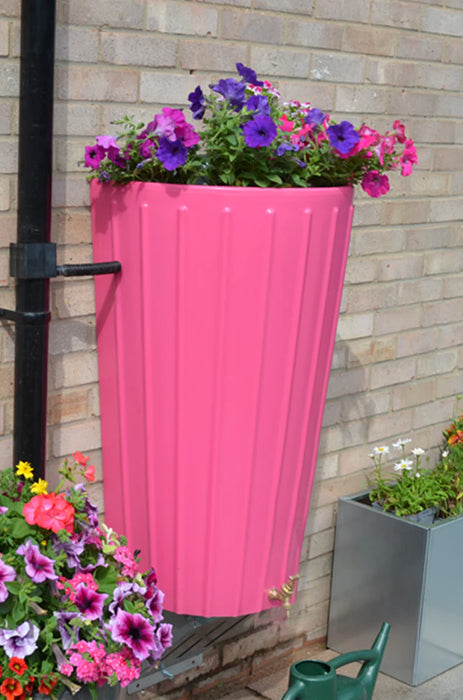 Wall Mounted Mini Cosmo Water Butt Planter in Pink