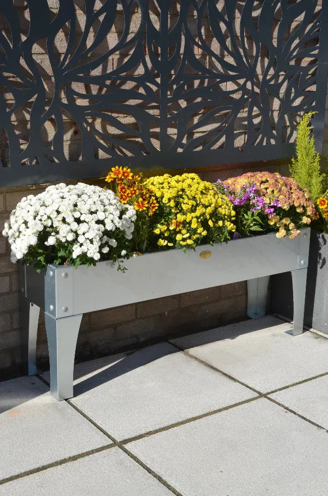 Double Banner Images