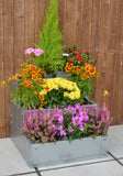 The Three Tier Raised Bed / Galvanised Planter